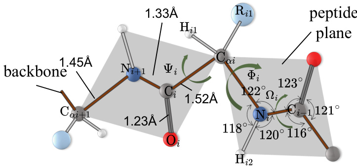 Learning Complete Protein Representation by Dynamically Coupling of ...
