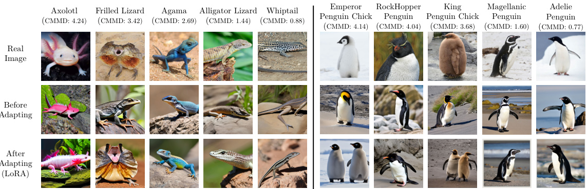 Diffusion Models Bird Locating What You Need: Towards Adapting Diffusion Models to OOD ...