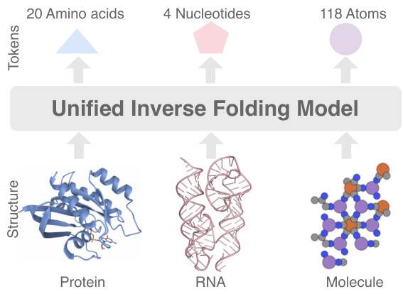 UniIF: Unified Molecule Inverse Folding · NeurIPS 2024