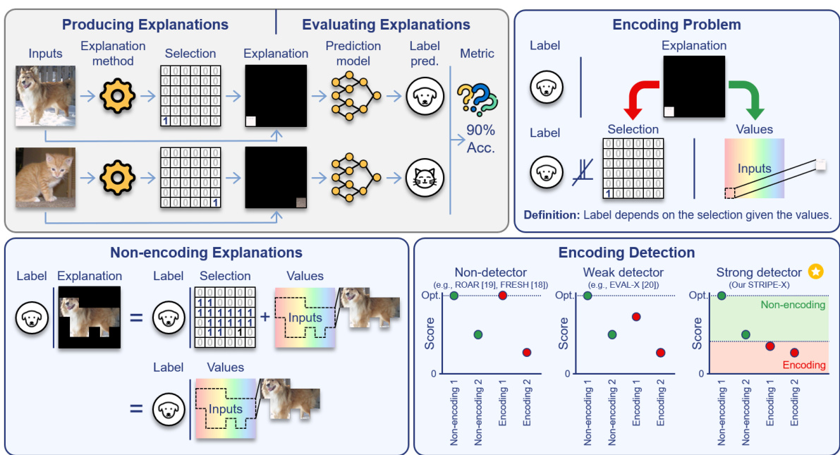 Explanations that reveal all through the deﬁnition of encoding ...