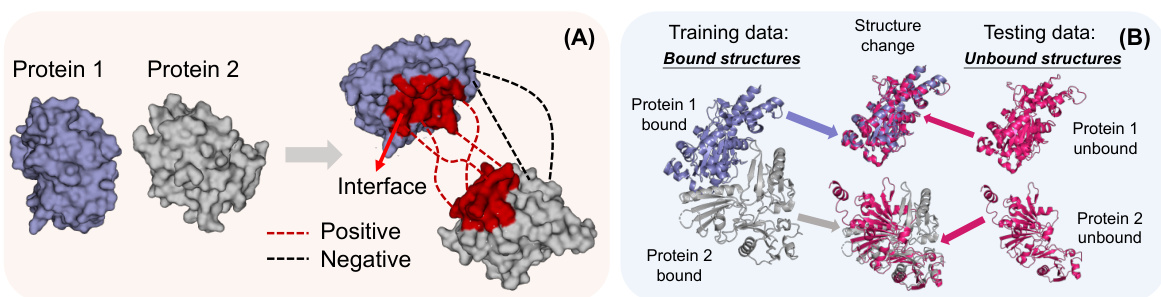 Towards Stable Representations for Protein Interface Prediction ...