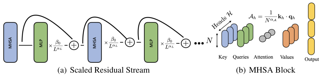 Infinite Limits of Multi-head Transformer Dynamics · NeurIPS 2024