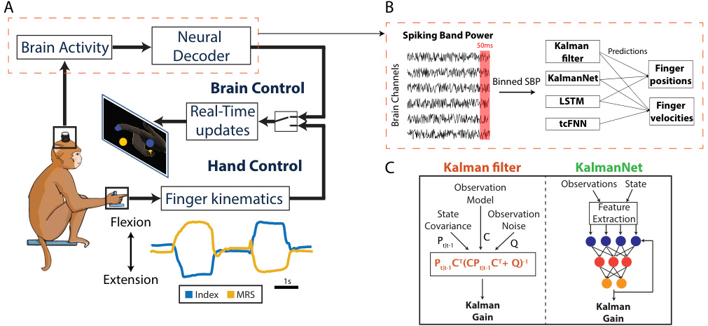 brain computer interface. using deep learning... Exploring the trade-off between deep-learning and explainable models ...