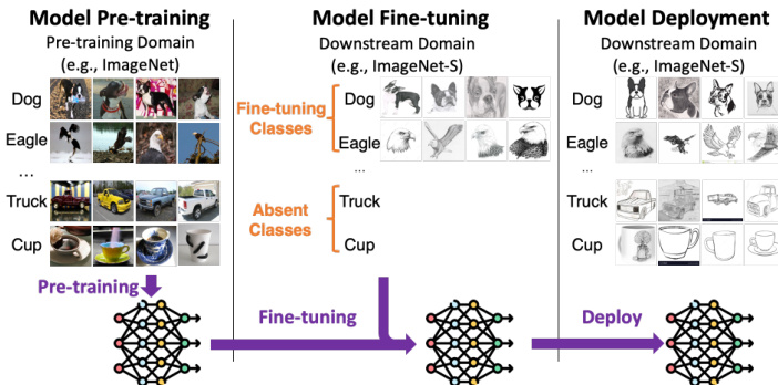 Fine-Tuning is Fine, if Calibrated · NeurIPS 2024