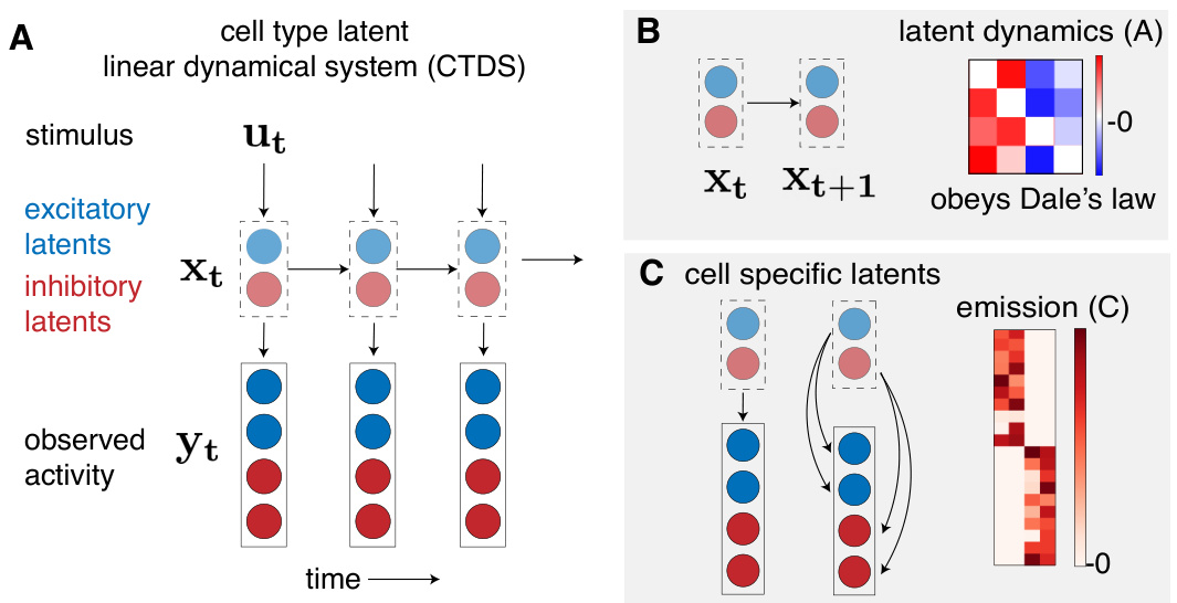 Disentangling the Roles of Distinct Cell Classes with Cell-Type ...